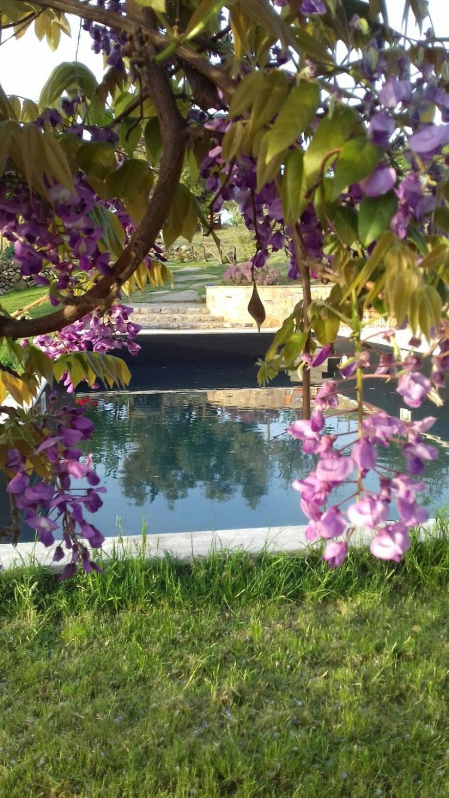 Agriturismo Meridiana Cana Eksteriør bilde